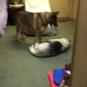 Meet your Posher, Jewell